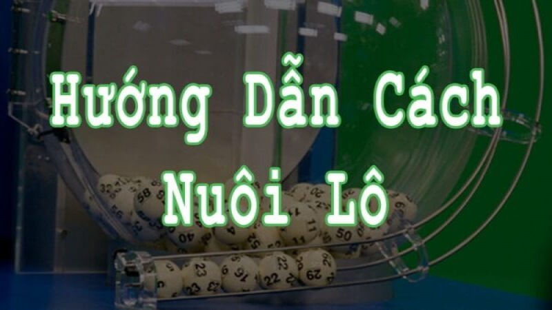 Bạn nên kết hợp nhiều phương pháp để nuôi lô thành công