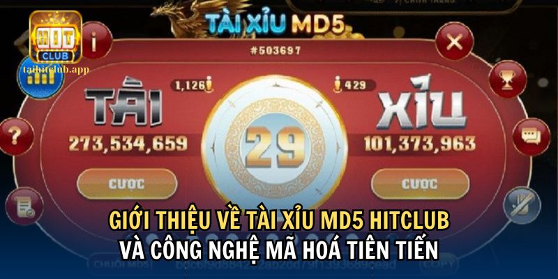 Thông tin về game Tài Xỉu MD5 HitClub với công nghệ tiên tiến