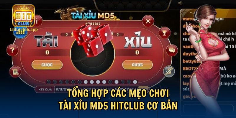 Tham khảo các mẹo chơi Tài Xỉu MD5 HitClub hiệu quả