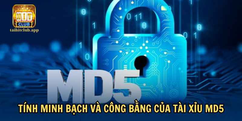 Công nghệ MD5 đảm bảo sự công bằng, minh bạch cho trò chơi