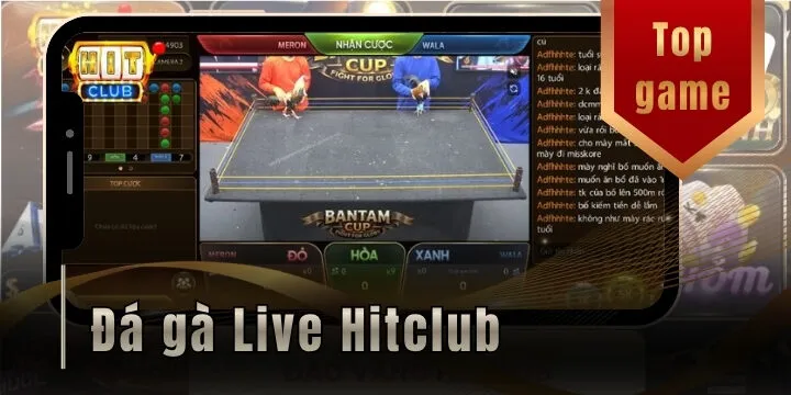 Đá gà live Hitclub - Theo dõi các trận đấu hấp dẫn theo thời gian thực 1 Đá gà live Hitclub - Theo dõi các trận đấu hấp dẫn theo thời gian thực