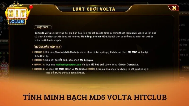 Volta hitclub – Siêu phẩm thể thao ảo mã hóa MD5 đỉnh cao 3 Quy trình 4 bước kiểm tra tính minh bạch bằng mã MD5